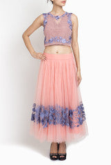 Amrit Kaur-ANK Mesh Embroidered Blouse with Skirt