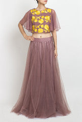 Amrit Kaur-ANK Brown Mesh Embroidered Skirt-Top