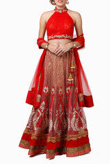 Abhilasha & Abhishek Red & Gold Lehenga Choli