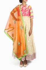 Design Cottage Multicolor Anarkali