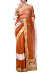 Brown & Golden Saree