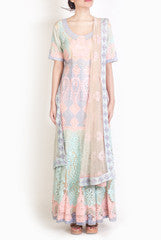 Lady R Couture Pastel Shades Gown With Dupatta
