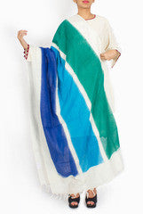 Uppada Ikat Dupatta