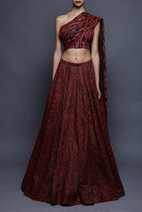 Vijay Balhara Lehenga Saree with Blouse