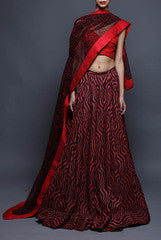 Vijay Balhara Printed Lehenga with Dupatta and Bustier